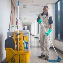 House Cleaning & Organization – $25/Hour – Burlington, ON