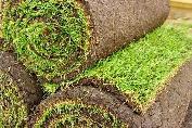Hiring someone with a truck with exp. laying sod $25/hr g