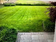 LAWN CUTTER WANTED