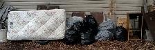 SENIOR DESPERATELY NEEDS SOMEONE TO HAUL AWAY GARBAGE!