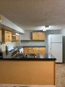One Bedroom Basement Apartment