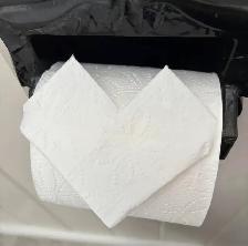 Professional house cleaning
