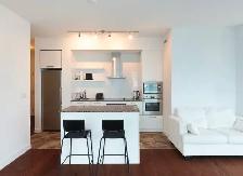 One bedroom furnishes condo downtown Toronto