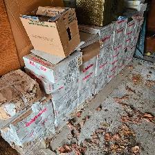 General labourer wanted this Wednesday in Scarborough
