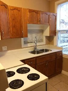 Two bedroom apartment for rent in Hamilton