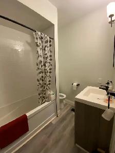 Room available for rent