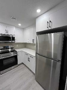 Brand new 2 Bed 1 Bath legal basement in Homestead Calgary NE