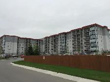 Beautiful 1 bedroom close to University of Manitoba for rent