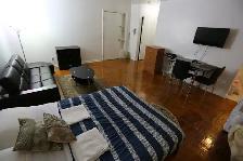 Studio Apartments in Downtown Toronto .Fully furnished. No lease