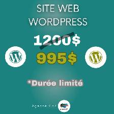 I build Websites