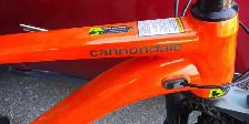 Cannondale Mountain Bike