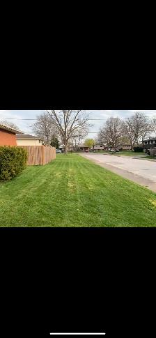 Grass cutting, edge trimming, leaf blowing