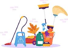 Cleaner needed