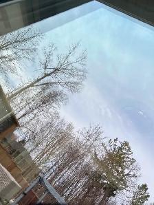 Window cleaning tech (19hr and up) possible bonuses HIRING ASAP