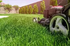 Reliable Lawn Cutting & Yard Work Services - Affordable Rates!