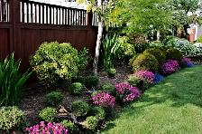 Landscaping and Gardening service - Affordable rate $30/hr!