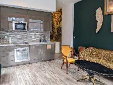 Furnished Downtown Rooms, Apartments and Condos