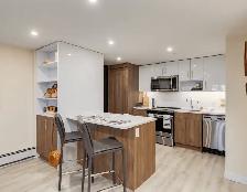 One bedroom Apartment in Calgary downtown