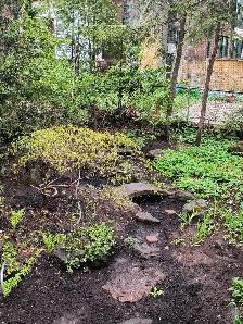 Garden Cleanup