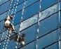 High Rise Window Cleaner $300 Per Day