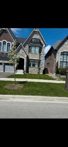 lawn care services and maintenance