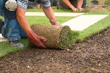 Lawn Care Services