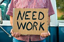 Class 1 driver 40 years experience looking for work