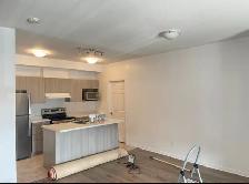 handyman painter and renovations