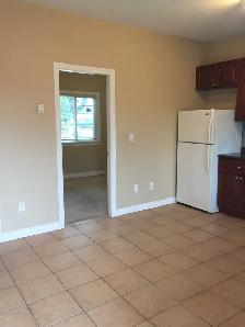 Beautiful one bedroom suite available now in Burnaby