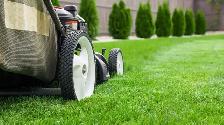 Yardcare maintenance / entretien du jardin