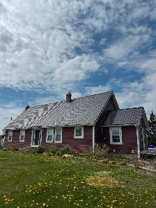 Metal & Shingle Roofing | Fully Insured