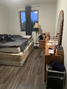 Furnished room in a two bedroom apartment