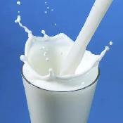 Weekend Dairy Milker (Fort Macleod, AB)