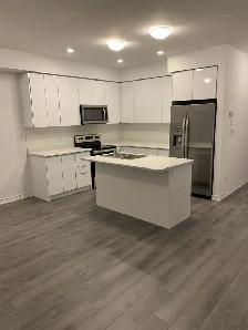 HAMILTON MTN TOWNHOUSE 3 BEDROOM 3 BATH MIA DRIVE