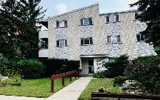 One Bedroom  big studio Apartment for Rent