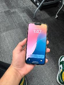 Unlocked iPhone 13 Pro Max Alpine Green (128GB)