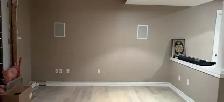 Handyman Needed for Basement Wall Demolition & Clean-Up