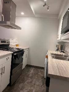 Apartment for rent!