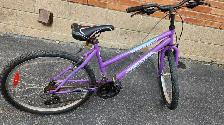 Supercycle Bike 26'