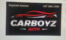 Auto mechanic