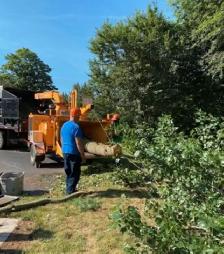 Labor job $20 / hr - start tomorrow- will train