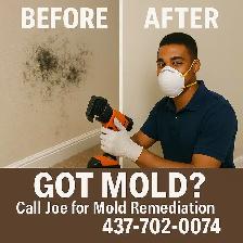 Mould Removal, Mold Removal, Floor and  Drywall Repair