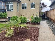  1-Bedroom Basement Suite – New Westminster, BC – $1,450/month