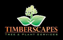 Hiring: Lead Climbing Arborist