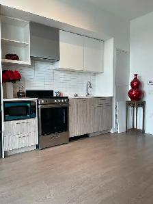 Spacious 1-Bedroom Apartment downtown Toronto for rent