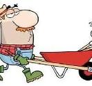 Yard Worker Needed - Gravenhurst