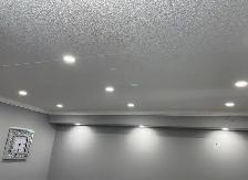 Licensed Electrician - Potlights, Panel Upgrades, EV Chargers &