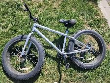 Schwinn Biggity DLX 26' Mountain Bike