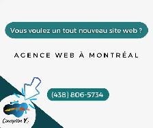 we build professionnal websites