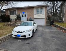Basement apartment in old Milton